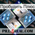 Пробудить Плюс viagra5